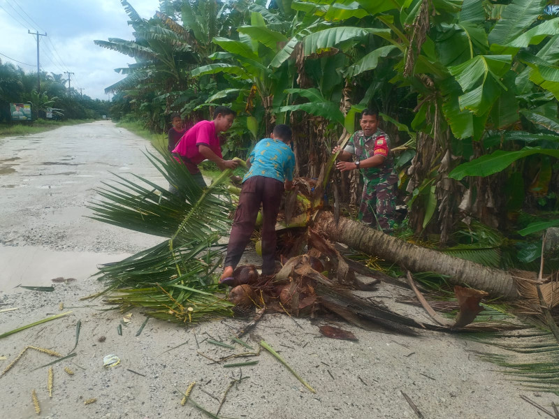 Babinsa Koramil 09/Kemuning Ajak Masyarakat Untuk Membersihkan Pohon yang Tumbang