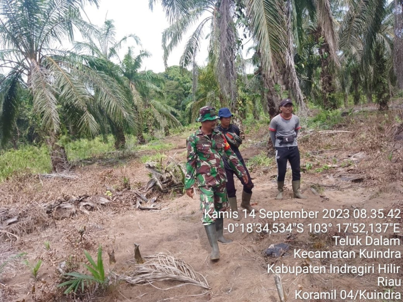 Babinsa Koramil 04/Kuindra Terus Turun Untuk Patroli Karlahut