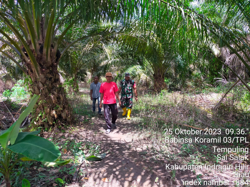 Antisipasi Karlahut DiDesa Binaannya, Babinsa Koramil 03/Tpl Serda Surianto Lakukan Patroli Karlahut