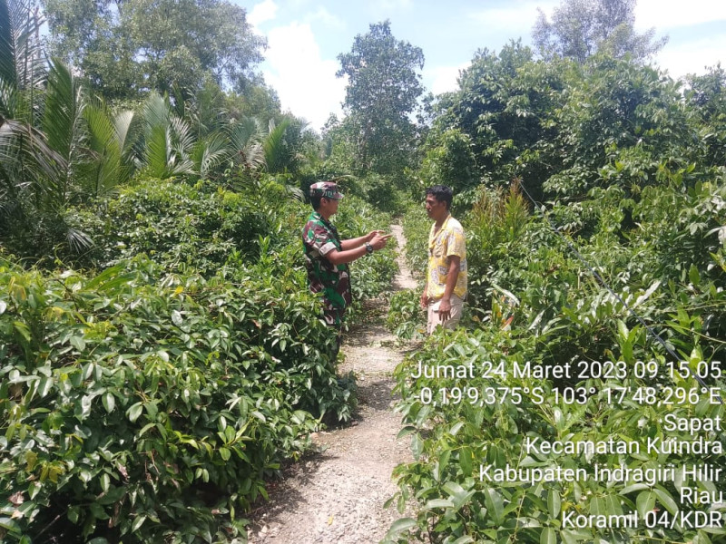 Patroli dan Sosialisasi Karhutla Bersama Babinsa Koramil 04/Kuindra di Wilayah
