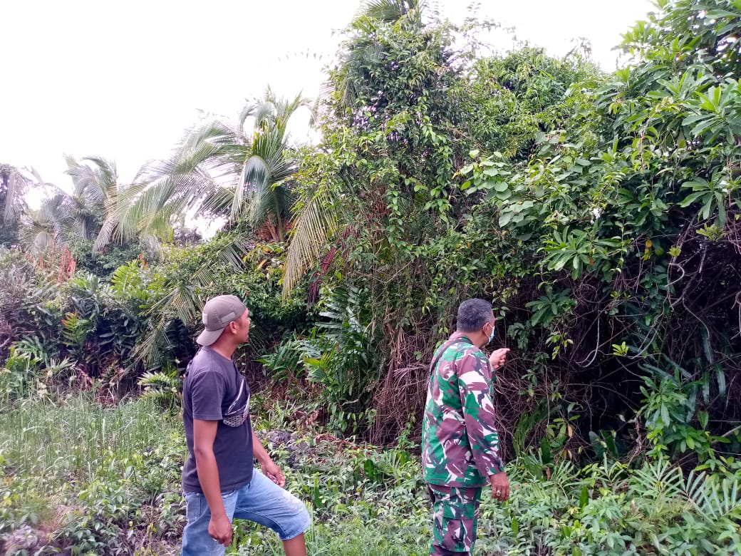 Bersama MPA, Babinsa Koramil 04/Kuindra Tingkatkan Patroli Karlahut