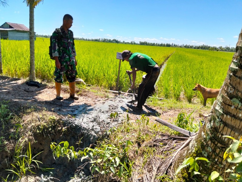 Koramil 09/Kemuning Melaksanakan Oplah untuk Meningkatkan Produktivitas Pertanian