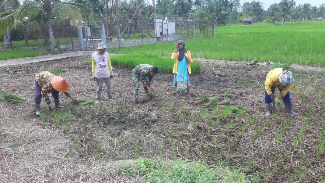 Serda Margono Babinsa Koramil 07/Reteh yang Peduli dengan Ketahanan Pangan Masyarakat