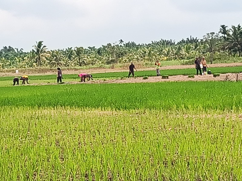 Dengan Cuaca Cerah, Pelda Nofiandi Tetap Semangat Turun Untuk Laksanakan Komsos Dengan Tomas