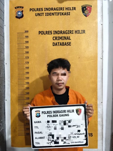 Rekam dan Sebar Video Cewek Sedang Mandi, Seorang Pemuda di Inhil Diciduk Polisi