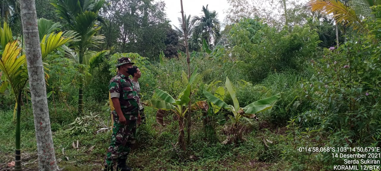 Patroli Karhutla Gencar Dilaksanakan Babinsa Koramil 12/Batang Tuaka Serda Sukiran