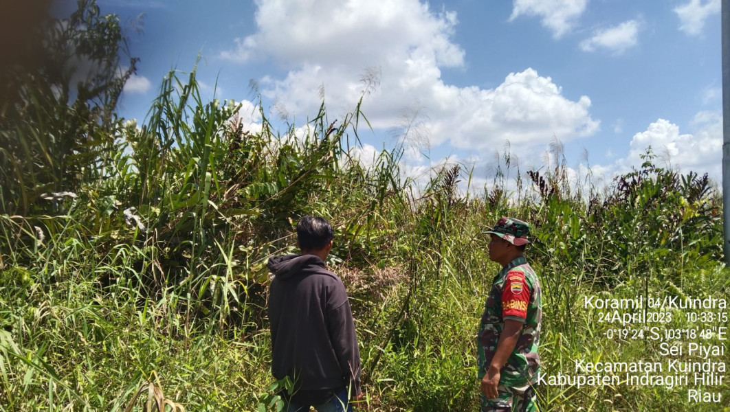 Babinsa Koramil 04/Kuindra Patroli Karhutla Secara Rutin di Daerah Binaan