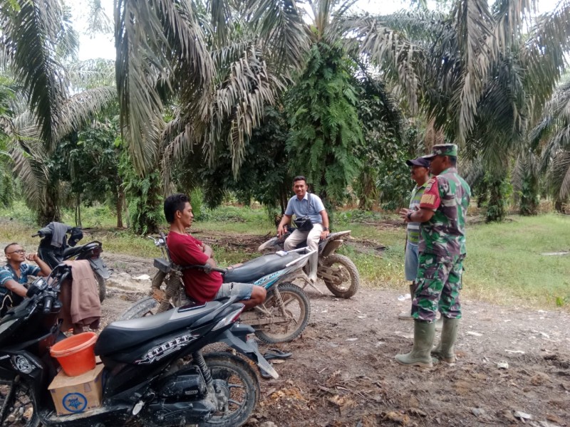 Komsos dengan Masyarakat Petani, Berikut Pesan-pesan Babinsa Talang Jangkang