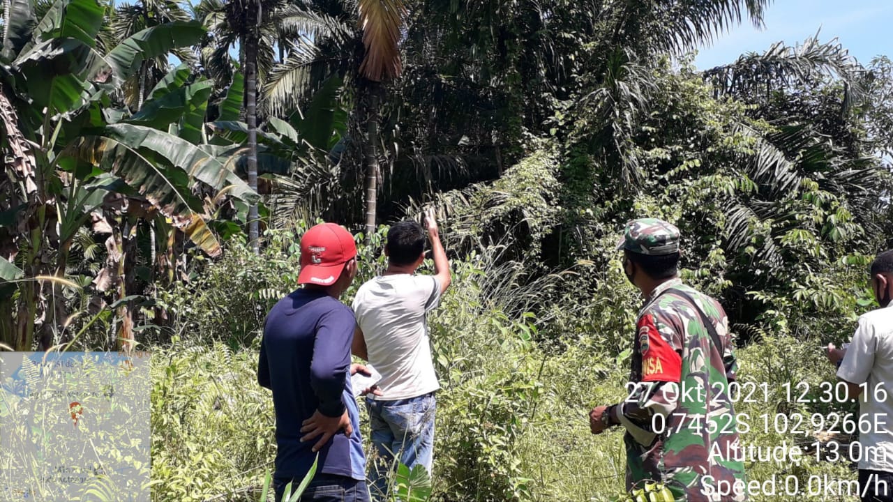 Cegah Kebakaran Hutan dan Lahan, Babinsa Patroli di Kotabaru Seberida