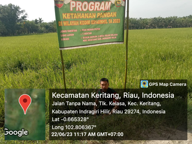 Babinsa Koramil 09/Kemuning Terus Mensupport Ketahanan Pangan Warga