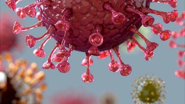 Pasien Omicron RI Bertambah 57: Mayoritas Vaksin Lengkap, Gejala Ringan