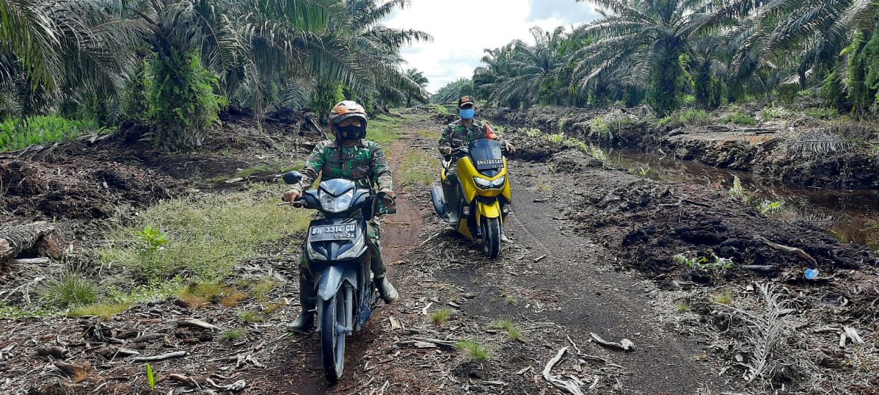 Babinsa Koramil 03/Tempuling Secara Rutin Melaksanakan Patroli Karlahut