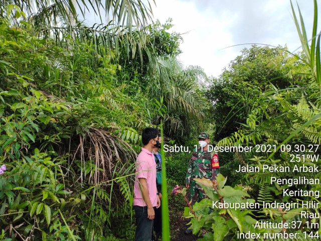 Anggota Koramil 09/Kemuning Rutin Patroli Karhutla di Pengalihan Keritang