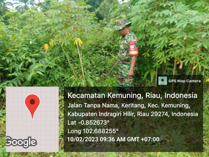 Musim Penghujan, Koramil 09/Kemuning Upayakan Pembersihkan Gulma