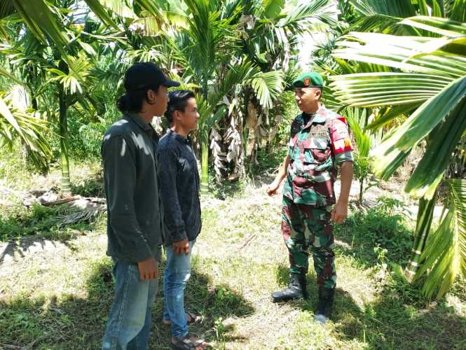 Babinsa Koramil 04/Kuindra Bersama Petani Pinang Lakukan Peninjauan Lahan dan Hutan