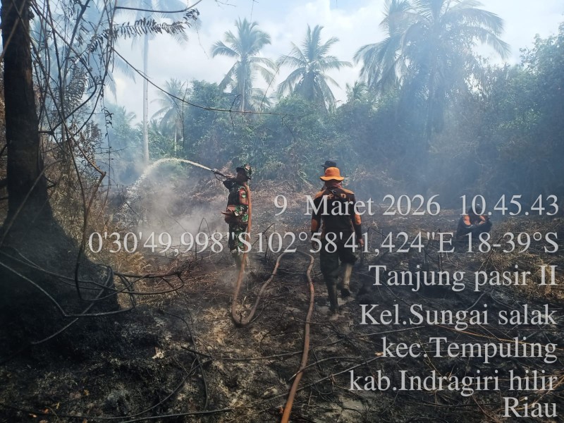 BABINSA 03/TPL KEMBALI LAKSANAKAN PENDINGINAN LAHAN PASCA KARHUTLA DI INHIL