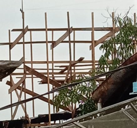 Tak Miliki Izin, Bangunan Sarang Burung Walet Ini Siap 'Mencakar' Langit Teluk Pinang