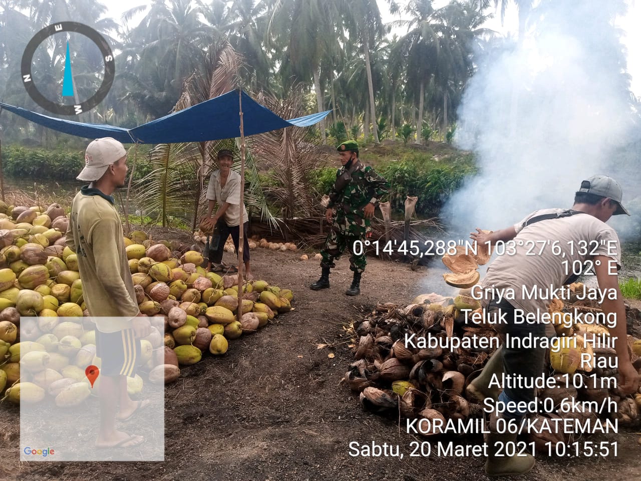 Babinsa Tunggal Rahayu Jaya Komsos Dengan Petani Kelapa di Teluk Belengkong