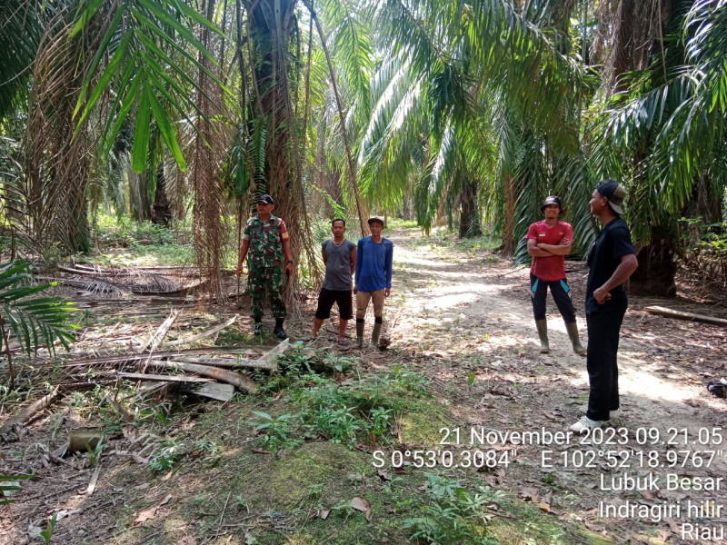 Guna Untuk Hindari Kebakaran, Babinsa Koramil 09/Kemuning Rutin Lakukan Patroli Karlahut