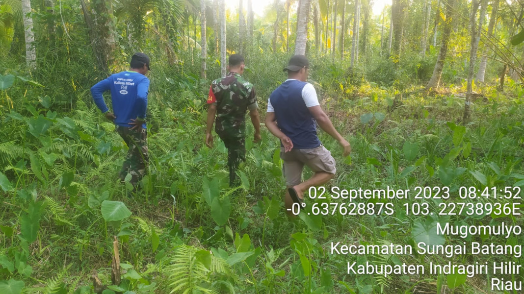 Daerah Rawan Kebakaran, Babinsa Koramil 07/Reteh Rutin Turu Untuk Patroli Karlahut