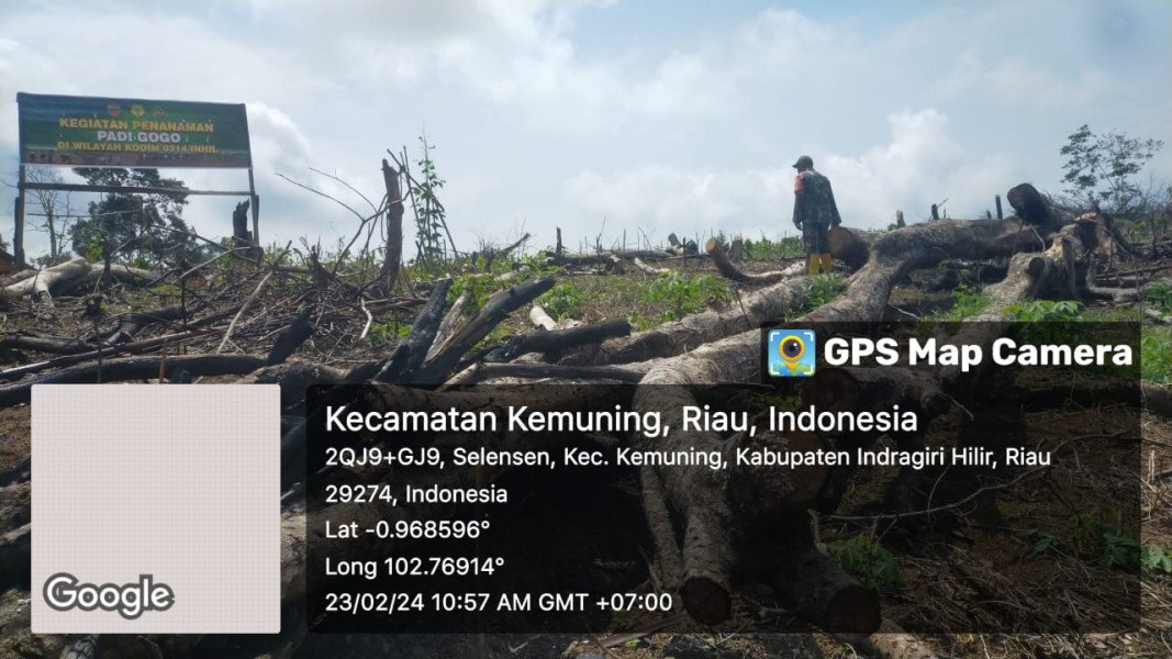 Babinsa Koramil 09/Kemuning Dampingi Penanaman Padi Gogo di Kelurahan Selensen