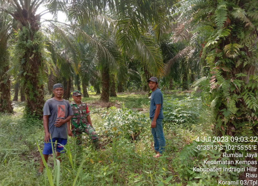 Babinsa 03/Tpl Patroli Antisipasi Karhutla di Desa Rumbai Jaya