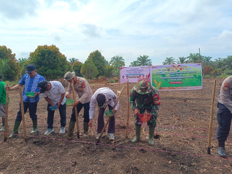 Babinsa Koramil 03/Tpl Hadiri Penanaman Jagung: Sinergi Tingkatkan Ketahanan Pangan Desa Sungai Ara