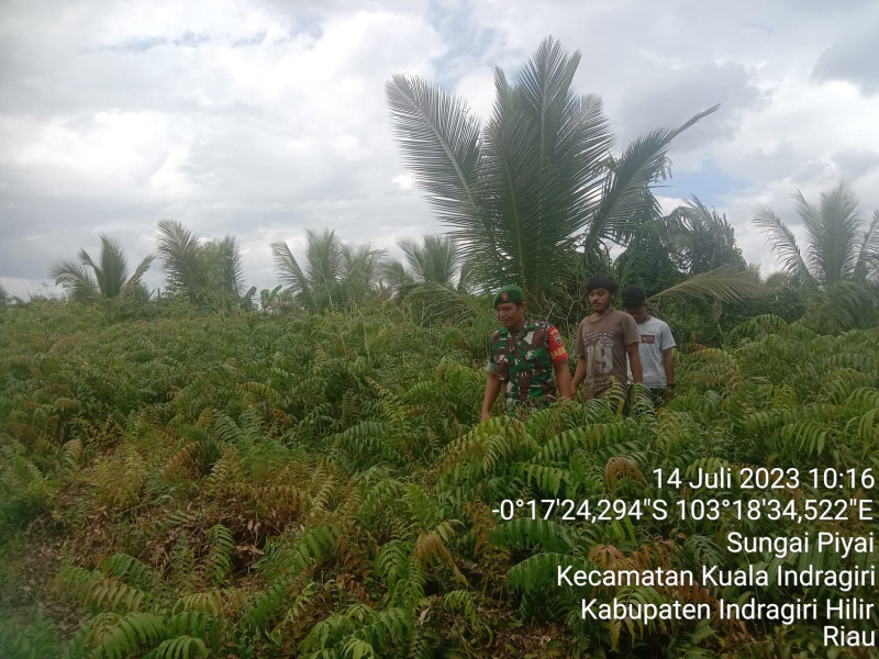 Babinsa Koramil 04/Kuindra Telusuri Lahan dan Hutan Warga Untuk Memantau Titik Api