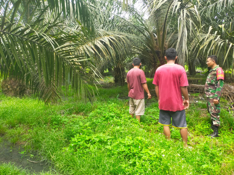 Babinsa Koramil 09/Kmg Ingatkan Masyarakat Untuk Selalu Mengantisipasi Karhutla di Binaan