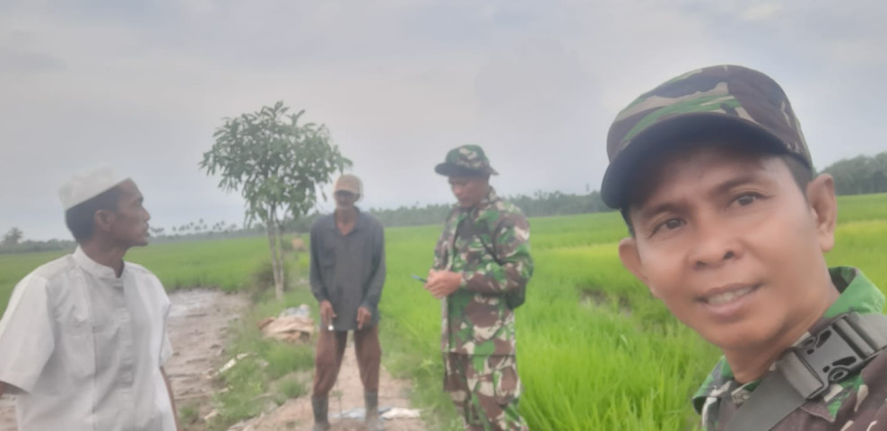 Babinsa Koramil 07/Reteh Giat Perawatan Tanaman Padi di Lokasi Ketahanan Pangan