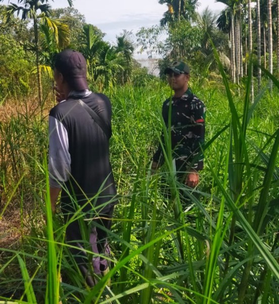 Patroli Tapal Batas dan Karlahut: Babinsa Koramil 05/Gas Berupaya Cegah Kebakaran Lahan dan Hutan