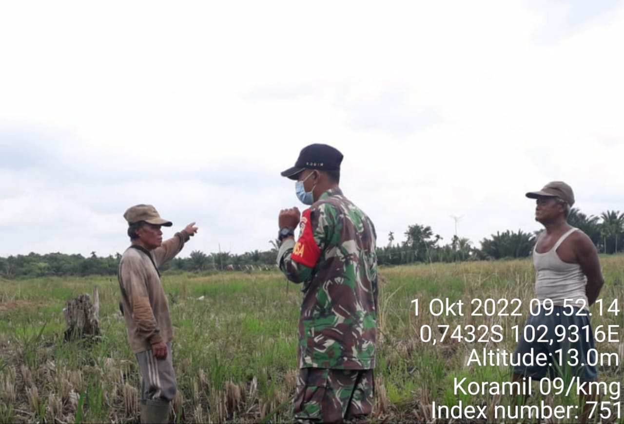 Babinsa Koramil 09/Kemuning Giat Lakukan Komsos Bersama Petani