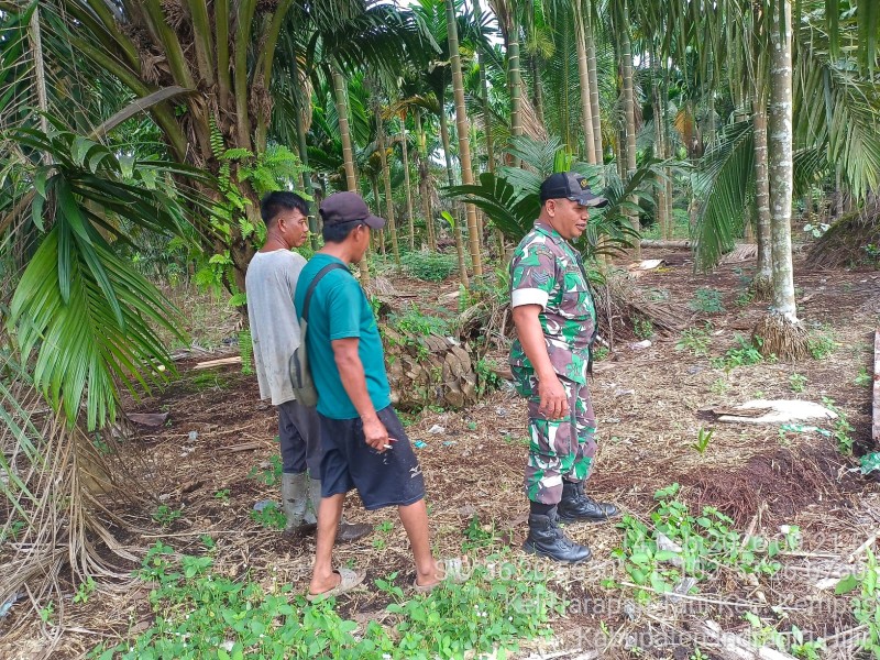 Babinsa Koramil 03/Tpl Rutin Laksanakan Patroli Tapal Batas Di Desa Binaan