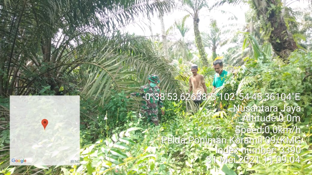 Langkah Antisipasi, Babinsa 09/Kemuning Lakukan Patroli Karhutla di Desa Nusantara Jaya