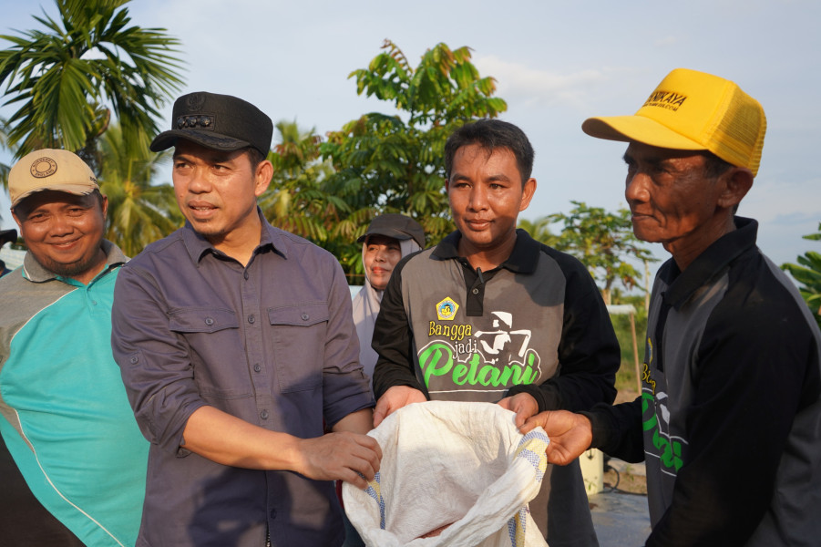 Kontribusi Kendalikan Inflasi Daerah, Pj. Bupati Ajak Masyarakat Gemar Menanam