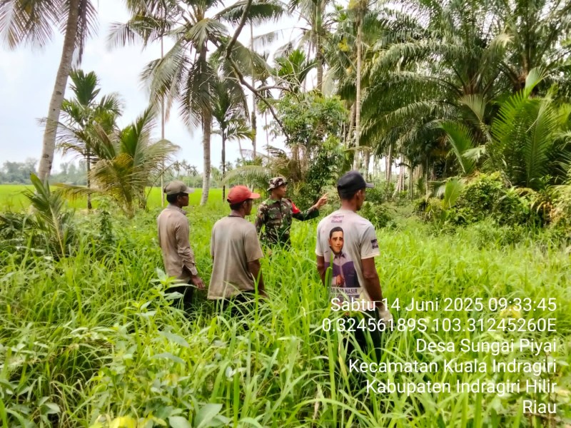 Siaga Karhutla, Babinsa Koramil 04/Kuindra Turun Lakukan Pengecekan Lahan dan Hutan Dengan Warga