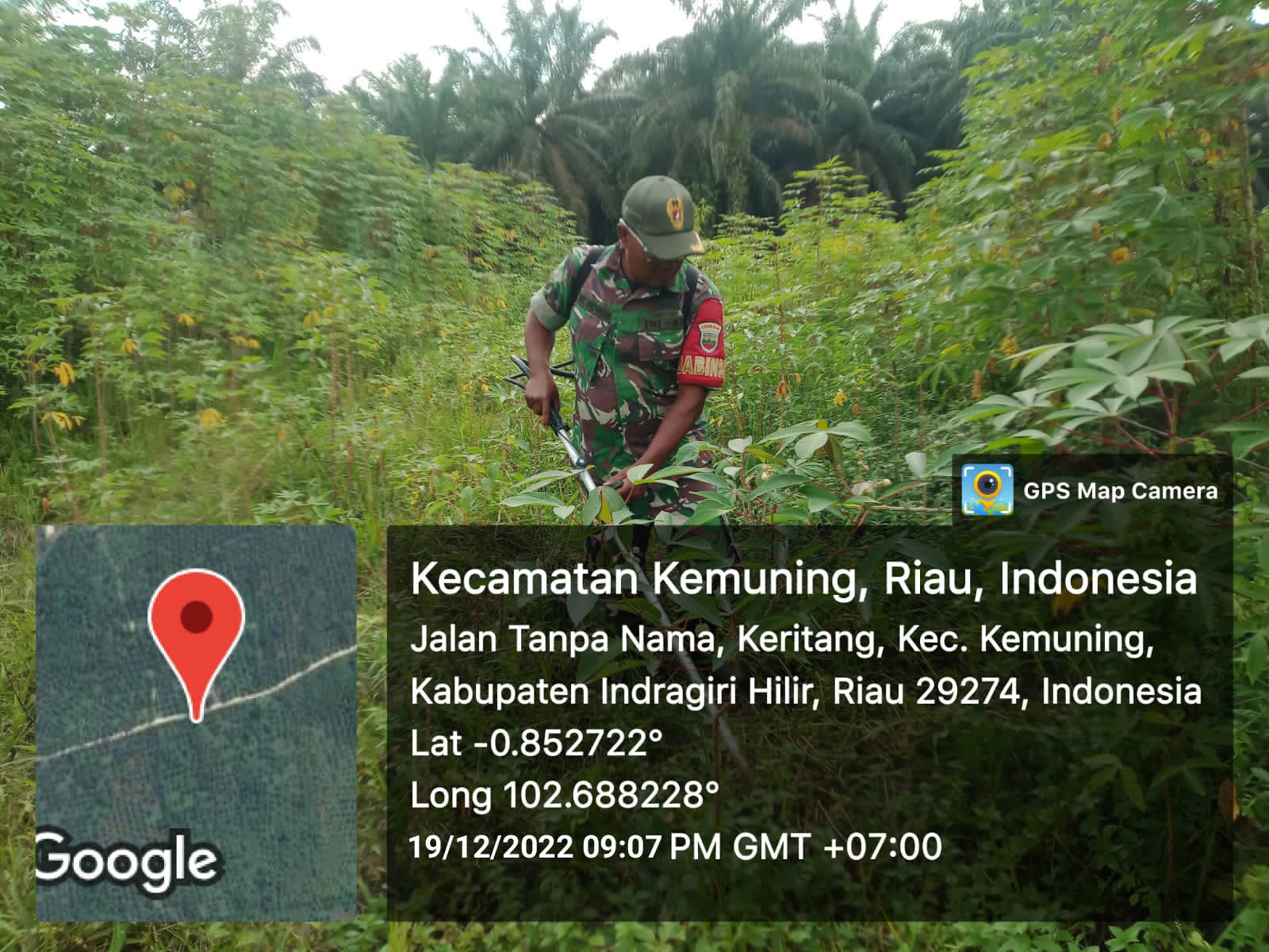 Babinsa Koramil 09/Kemuning Lakukan Upaya Penyiapan Rumput dan Gulma