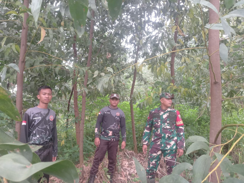 Babinsa 05/Gas Pratu Sandi Wahyudi Gencar Laksanakan Patroli Hutan Dan Lahan di Wilayah Binaan