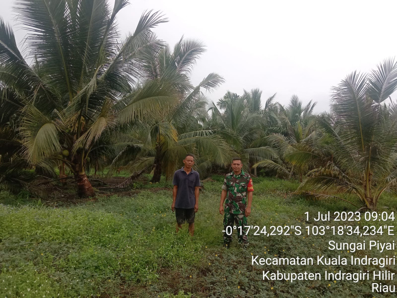 Babinsa Koramil 04/Kuindra Terus Mewaspadai Karhutla di Wilayah Binaan
