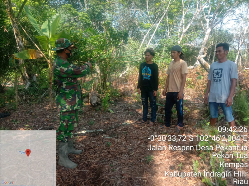 Upaya Pencegahan Kebakaran Hutan dan Lahan Rutin Dilakukan Babinsa 03/Tpl Dengan Cara Patroli