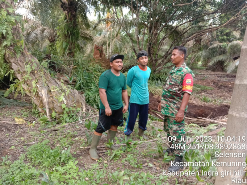 Bersama MPA, Serka Marwandi Rutin Lakukan Patroli Karhutla di Selensen