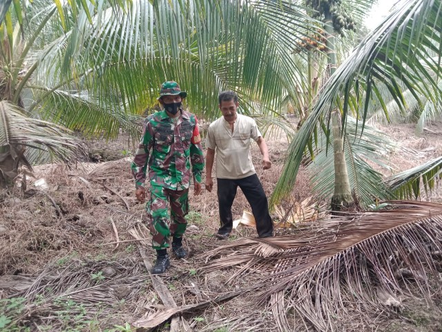 Babinsa Praka Mauladi Terus Lakukan Patroli Karhutla Bersama Warga