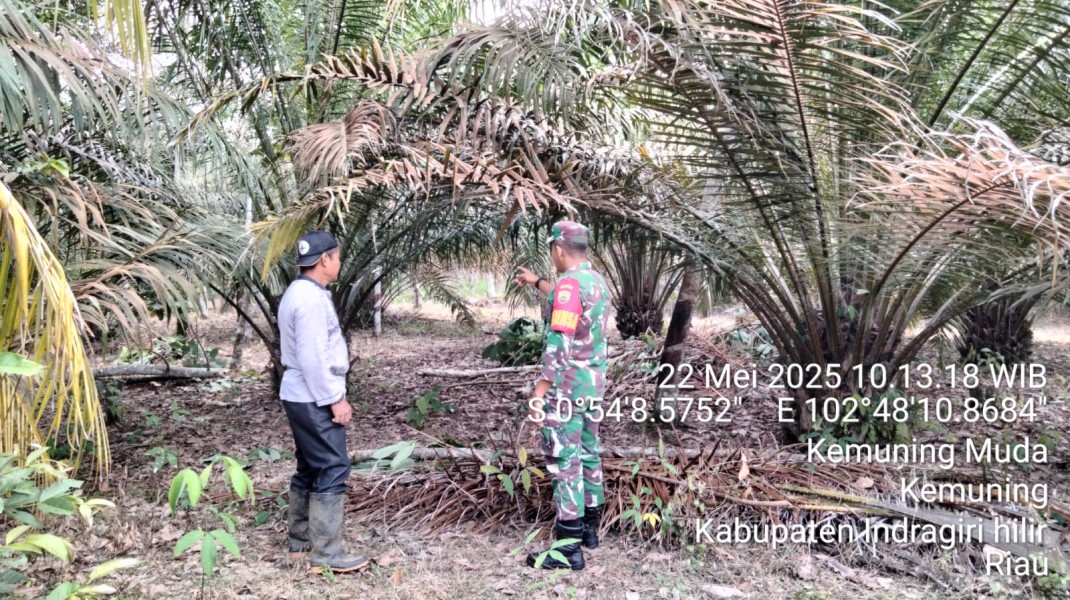 Mencegah Karhutla: Babinsa Koramil 09/Kemuning Berikan Sosialisasi