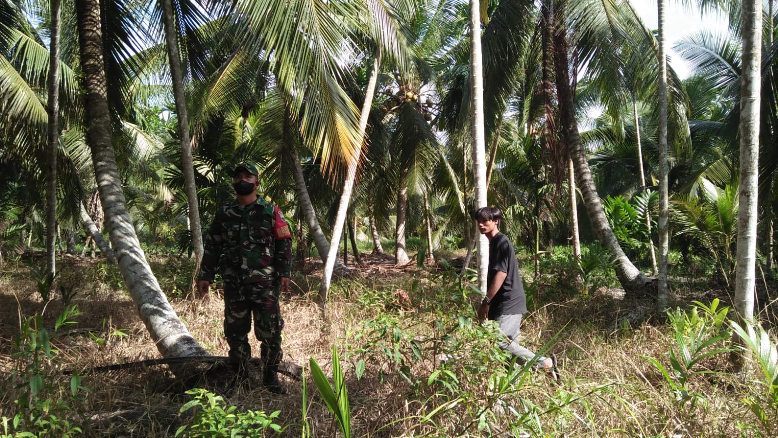 Babinsa Koramil 04/Kuindra Bersama Para Petani Kelapa Lakukan Pencegahan Karlahut