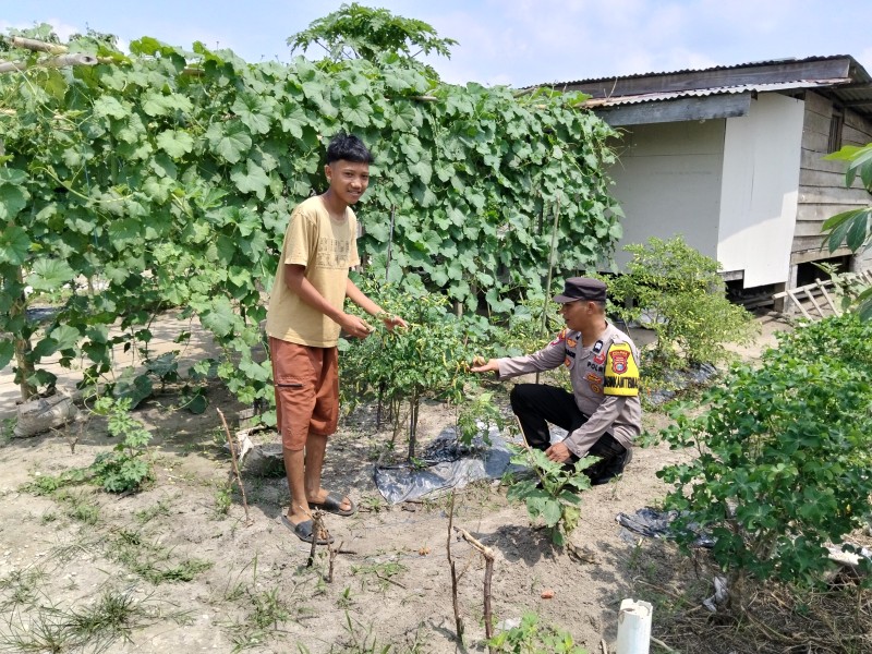 Kapolsek Keritang Apresiasi Bhabinkamtibmas Petalongan Kawal Program Pertanian