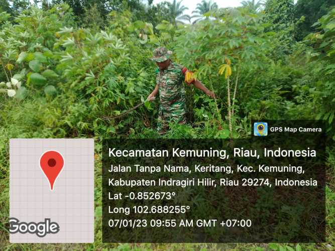 Koramil 09/Kemuning Giat Lakukan Ketahanan Pangan dan Pembersihan Gulma