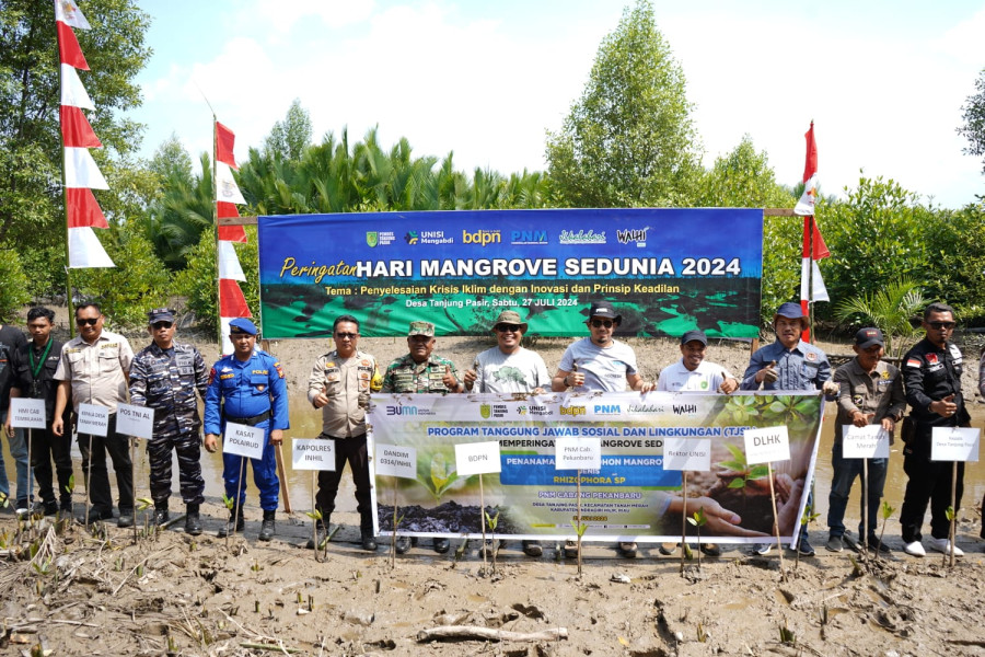Hari Mangrove Sedunia, BDPN dan PNM Cab Pekanbaru Bersama UNISI Mengabdi Tanam 7.000 Pohon