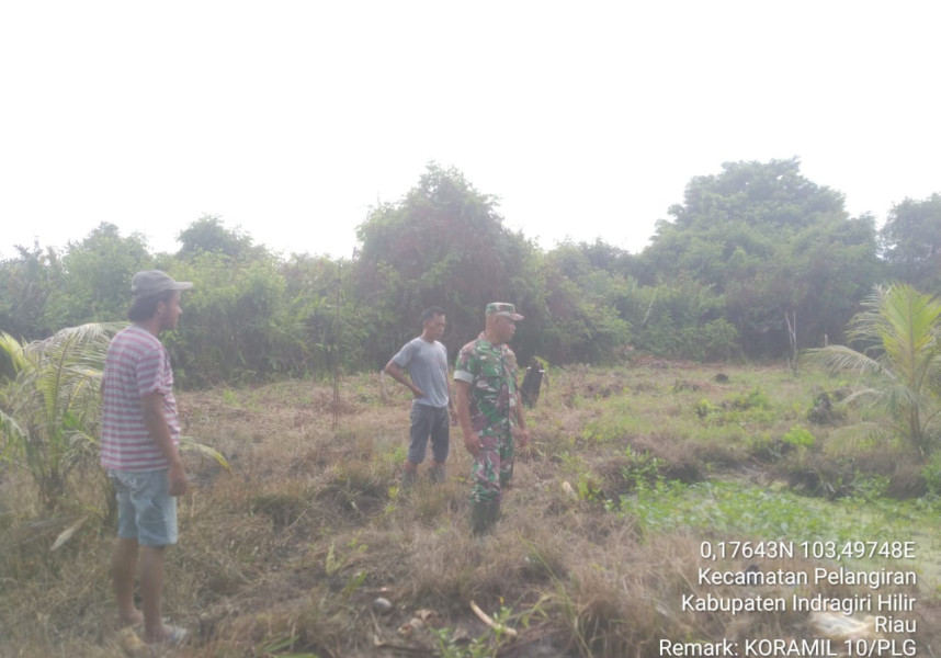 Dengan Semangat Yang Tinggi, Babinsa Koramil 10/Pelangiran Upayakan Lahan dan Hutan Tetap Aman