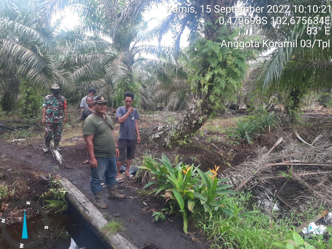Cuaca Tak Menentu, Babinsa 03/Tempuling Tetap Giatkan Patroli Karhutla