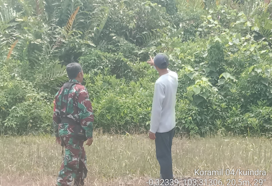 Babinsa Koramil 04/Kuindra Cegah Kebakaran Dengan Patroli Rutin